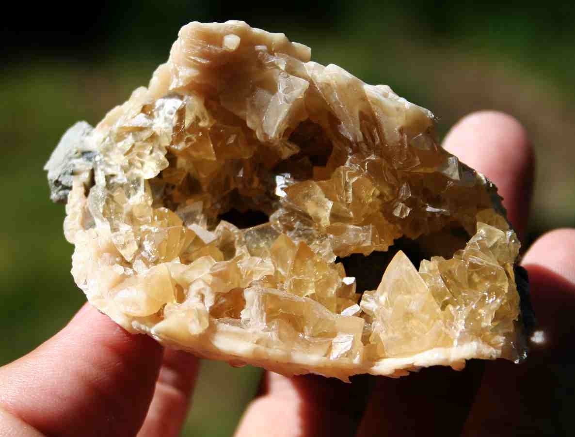Clam Man Fossilized Calcite Clam RARE Orange Calcite from Florida