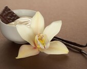 French Vanilla Purifying Body Wash Exfoliating Skin Wash