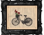 Basket Vintage Bicycle art red roses with cardinal friend bike art print flowers bird dictionary book page print