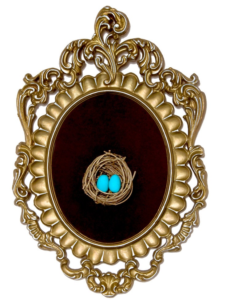 Birds Nest with Blue Eggs in Ornate Frame - Wall Art Decor 7.5x11in
