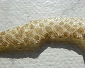 M15 8 Inch Mister Pig Skin Lot Shed Serpent Religious Educational Magic Spell Art Crafts Cruelty Free