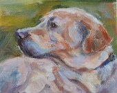 Labrador Retriever, Yellow Lab, Dog painting, Original oil by Carol DeMumbrum