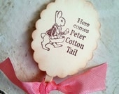 Easter Cupcake Toppers, Food Picks, Cupcake Decoration, Bunny Rabbit, Spring, Set of 12