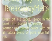 Sinus Soothing 100% Natural Soy Wax Breakaway Melts