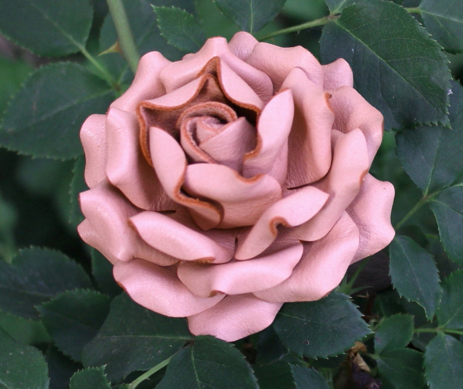 Pastel Pink Leather Rose, Wedding/3rd Anniversary Gift Long Stem Flower Valentine's Day 3rd Leather Anniversary