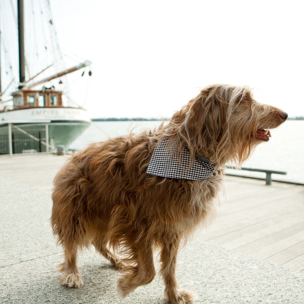 Gingham Dog Neckerchief