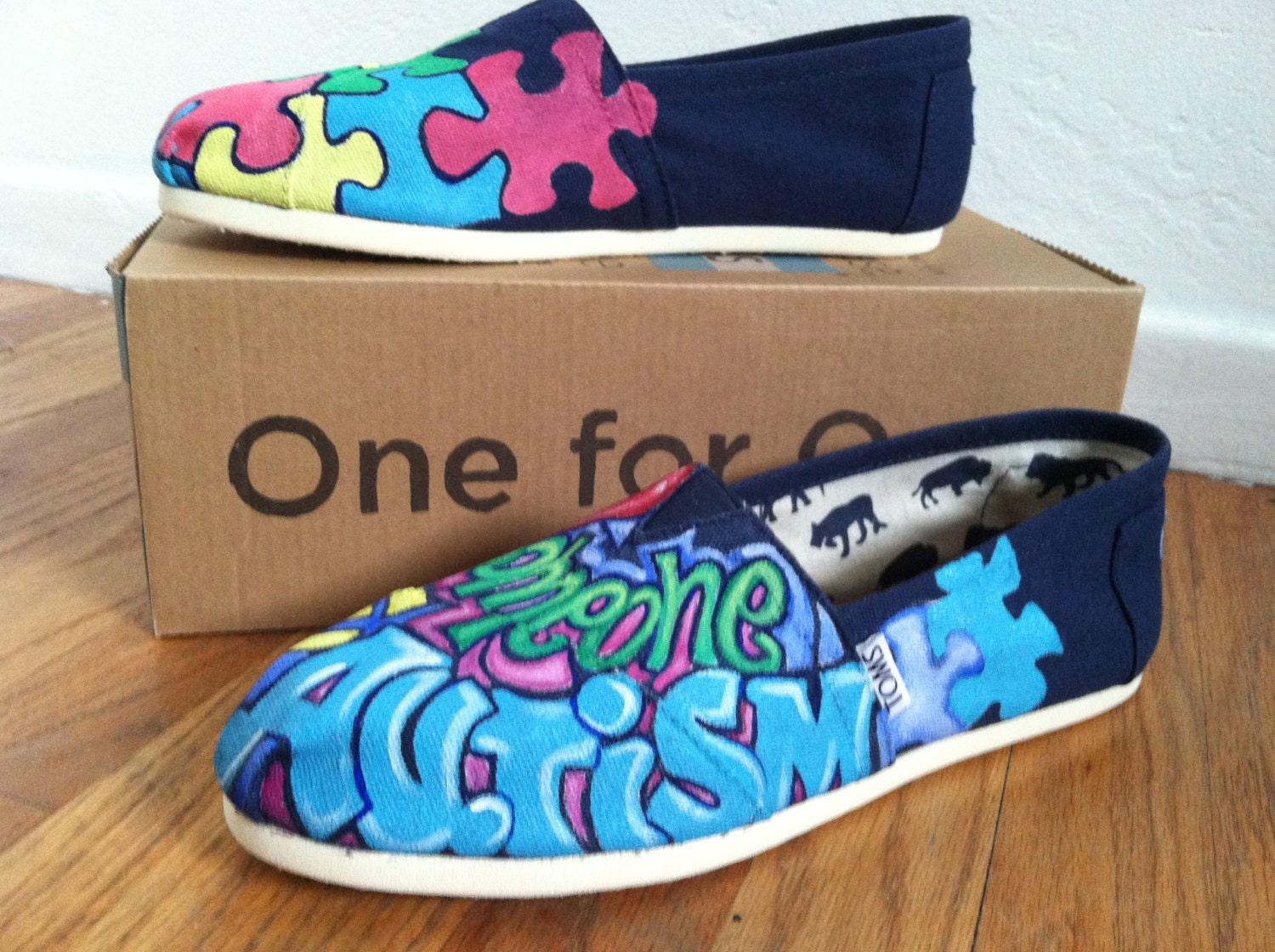 Custom painted TOMS shoes