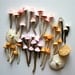 Candy Sweet Colorful Wild Mushrooms / A Collection of 42 Freshly Harvested Candy Mushrooms