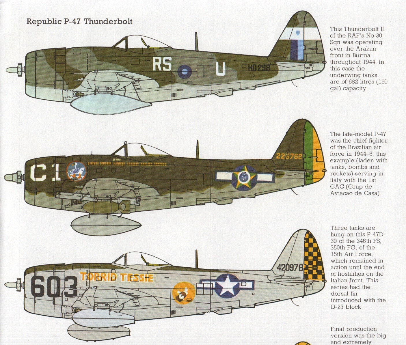 vintage Aircraft print Republic Thunderbolt WWII airplane military aircraft print bedroom decor plane