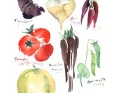 Kitchen art Antique vegetables illustration 8X10 print Watercolor food poster Botanical painting