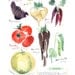Kitchen art Antique vegetables illustration 8X10 print Watercolor food poster Botanical painting