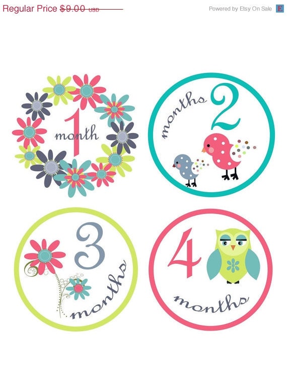 Baby Month Stickers Baby Girl Monthly Onesie Stickers Monthly Onesie Sticker Girl Baby Shower Gift Photo Prop Baby Milestone