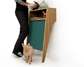 Mid Century Modern Console Table & Cat Scratcher