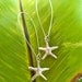 NEW--Starfish..Simple Silver Starfish Earrings-Perfect for Summer