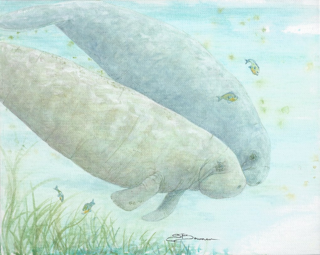 8 by 10 painting manatee original bowman The Couple