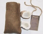 2 Solid Natural Antler Dog Chew