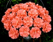 The Camellia  -  Handmade Paper Flower - Light Coral  - Set of 20 - Stems Included (Custom Colors Available)