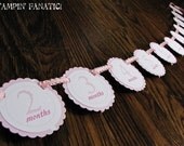 Pink Polka Dot Collection: Just Born/0-12 mos Picture Hanging Banner. Light Pinks. First Birthday Photo Banner. Polka Dot Photo Banner. Il_170x135