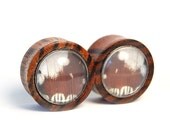 1 inch Butterfly Wing and Zebra Wood Plugs Pre-Made
