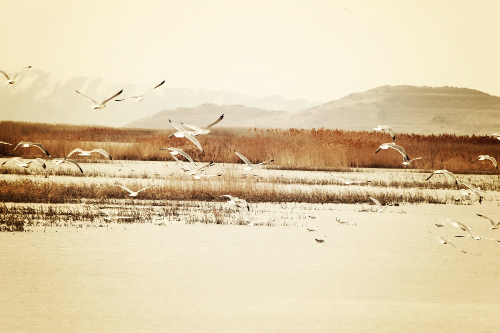 Nautical Sepia Fine Art Metallic photo Print 8x12