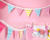 Pink, Aqua, and Yellow-PHOTO PROP SET-Fabric Banner and Headband-Bunting-Pennant-Garland-Birthday Party-Decoration-Rosette Headband