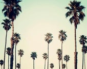 SALE California Photography- Palm Trees, Retro, Palm Art, Summer, Beach Decor, California Art, Palm Tree Print, Seagreen, Ombre