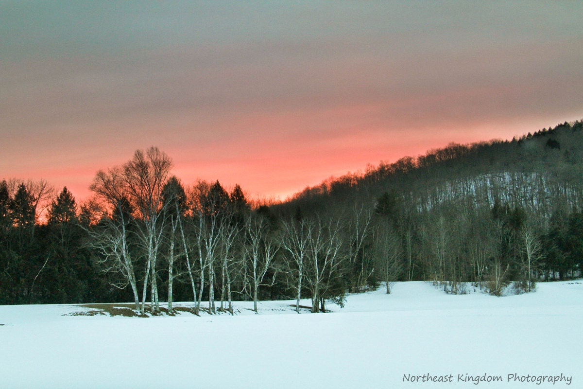 Glowing Red Winter Sunset and Birch Trees - 8x12 Print