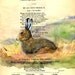Hare - Original Watercolor Painting - on Antique Book page 7 x 4 1/2 inch