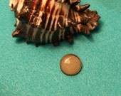 Gulf Coast Collection Handmade Antique Bronze White Sand Button White Sand Jewelry Beach Jewelry - 13096
