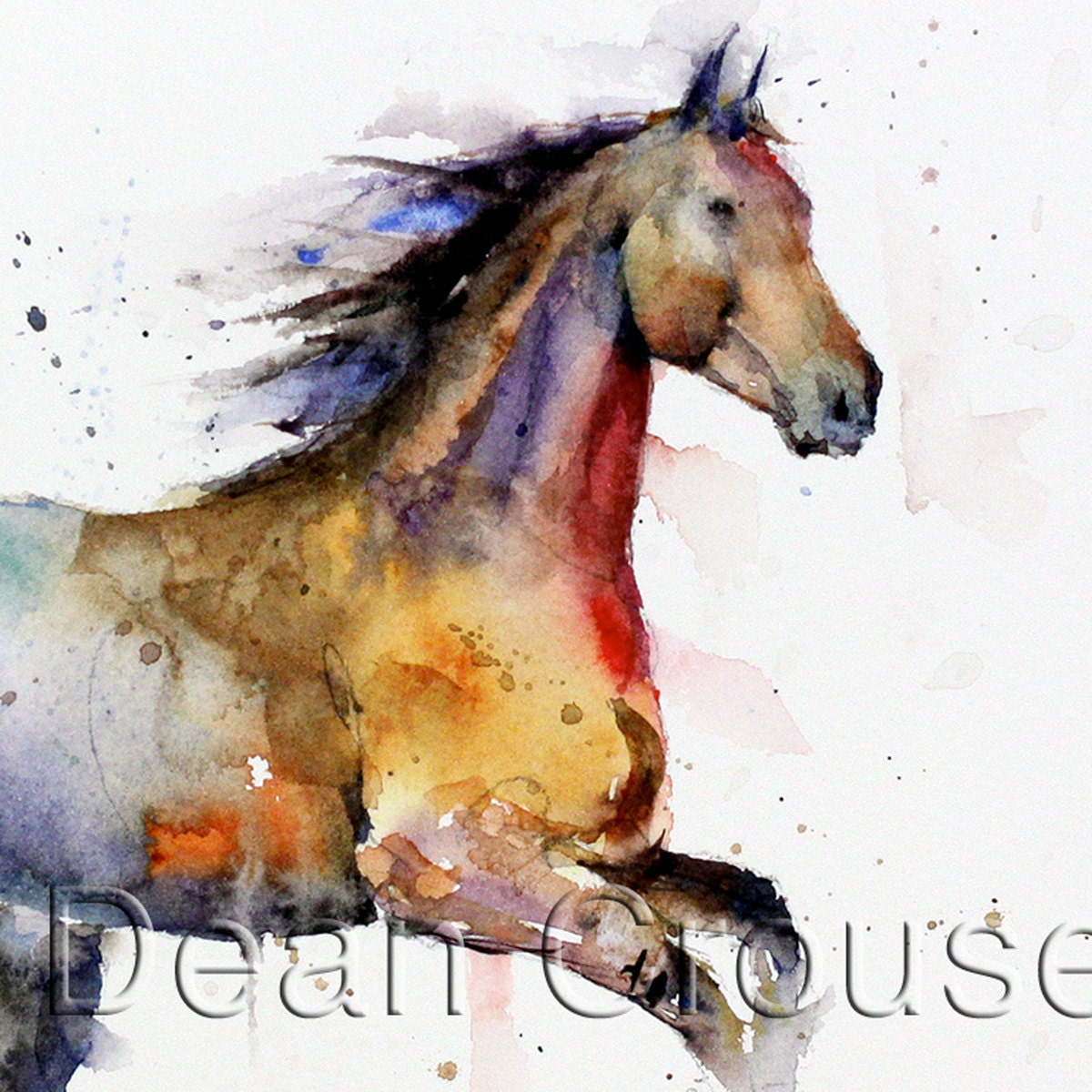HORSE Extra Large Watercolor Print by Dean Crouser
