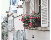 Paris Flowers, Window Box Geraniums, fuschia/fuchsia, apartment  - Montmartre, Paris photo 8x8-inch Original Fine Art Photograph