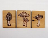 Woodland Mushroom Collection - Set of 3 Art Blocks - Woodburning