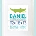 Crocodile Birth Announcement Wall Art. Alligator Birth Announcement Wall Print. Modern Birth Announcement. 8x10 Baby, Nursery Wall Poster