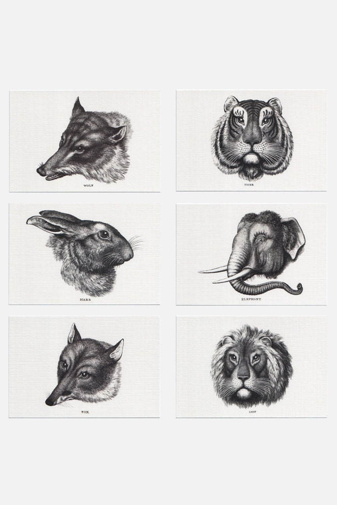 A New Work of Animals Postcard Set