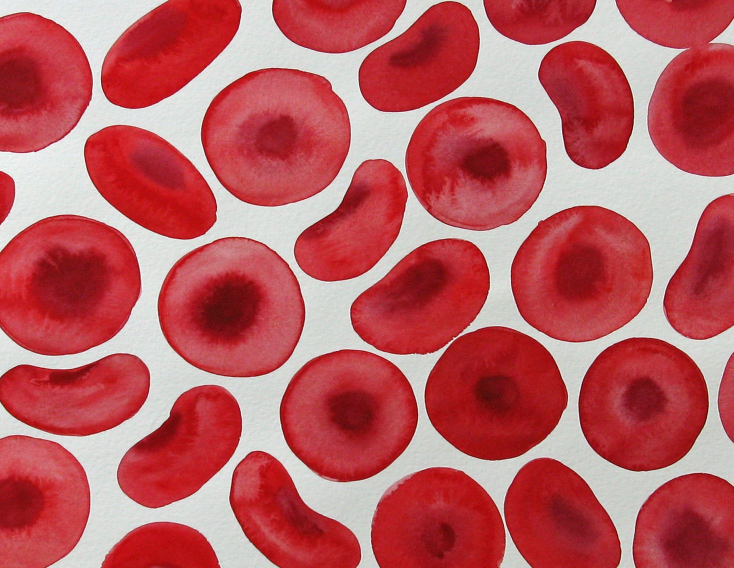 Big Red Blood Cells - watercolor painting - erythrocytes