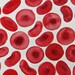 Big Red Blood Cells - watercolor painting - erythrocytes