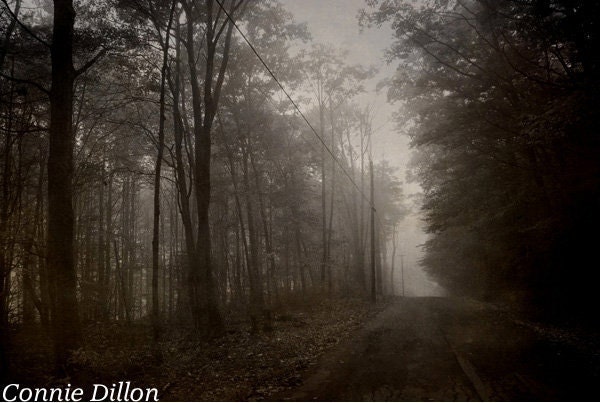 fog - mist - landscape - mysterious - moody - cliffs - fine art photography - Rock Rims and Fog: 8.5 x 11 Photograph