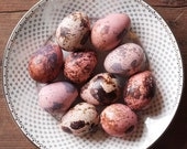 Quail Eggs - Pastel Pink Mix - 10 Beautiful Dyed Eggshells