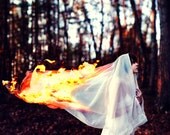 12 x 12 signed print - suicide for the strong