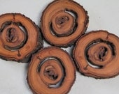 just peachy - coasters made from fallen peach tree wood