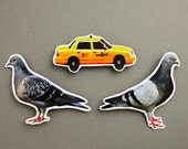 Pigeons and Taxi Set of 3 Photo Magnets