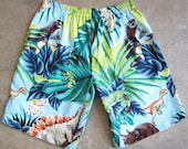 Rojas Dinosaur Hawaii  MENS SHORTS