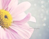 Pink and Gray Flower Photography - Spring's First Light - Pastel Gray Pink Flower Photography Print 8x10) Spring Girly Pink Nursery Art