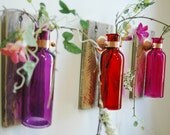 Tropical Sunset Wall Decor Collection of  Colored Bottles each mounted on Recycled wood for unique bedroom decor kitchen decor