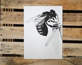 Honey Bee II : Archival Print Of Charcoal Drawing - Nature Art 5x7 - Featured in West Elm