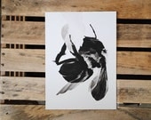 Honey Bee : Archival Print Of Charcoal Drawing - Nature Art 5x7 - Featured in West Elm
