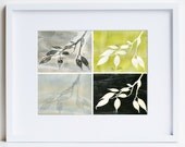 Giclee print, botanical study, archival reproduction of original monoprints
