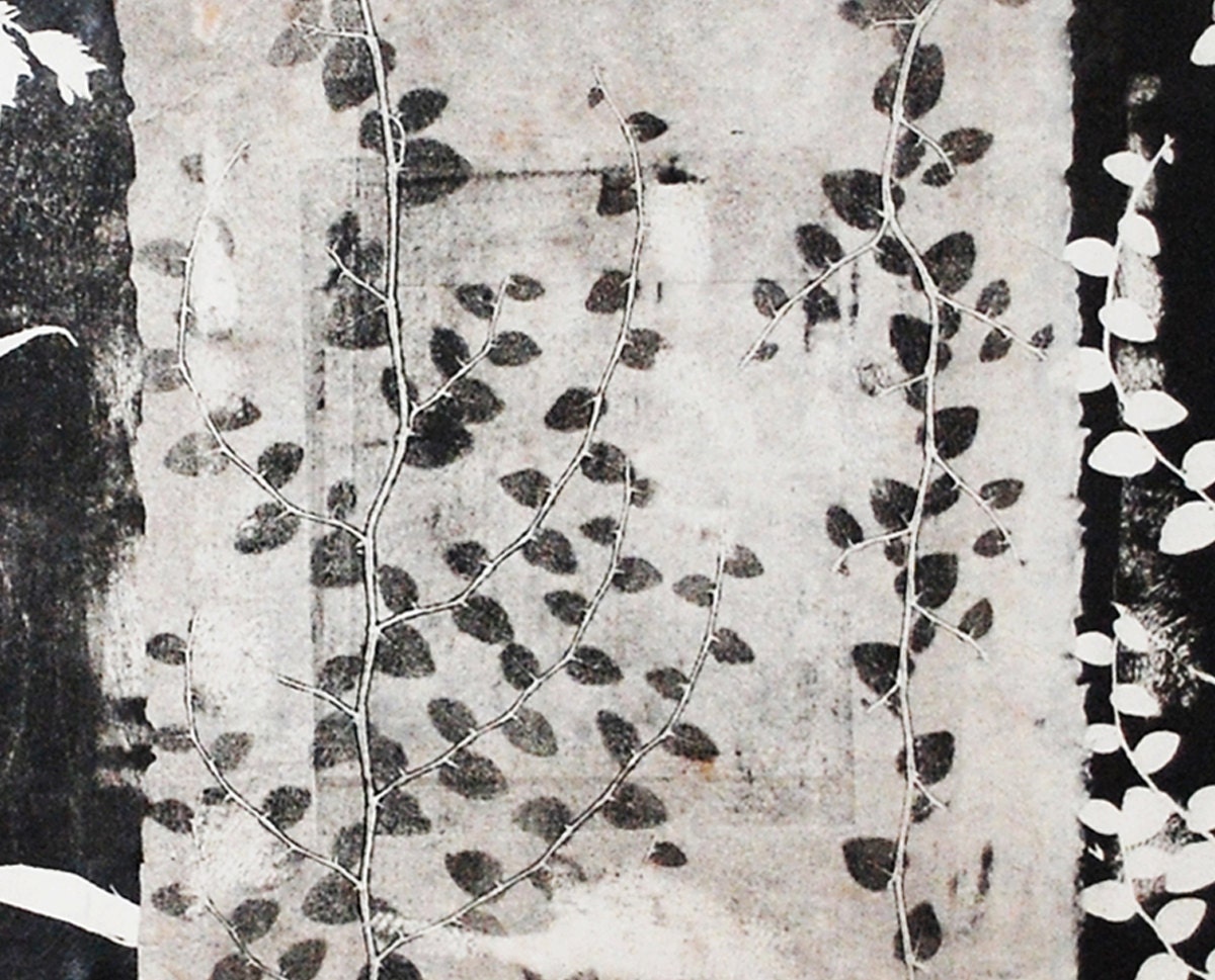 Botanical Silhouette, monoprint on board