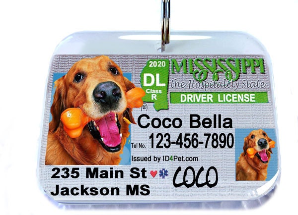 Dog Tag Cat Pet Tag Pet ID Tag Mississippi Driver License Identification Tag by ID4Pet