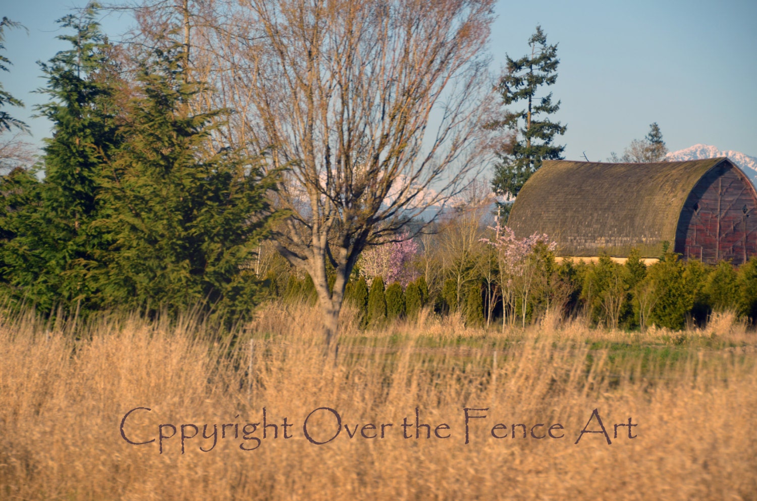 Landscape  Photography Farm Barn Mountains Snohomish Valley Washington  Print Wall Art Greeting Card